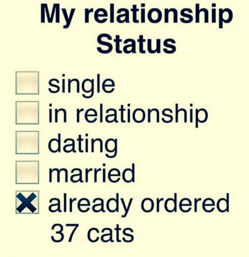 dating and friendship quotes